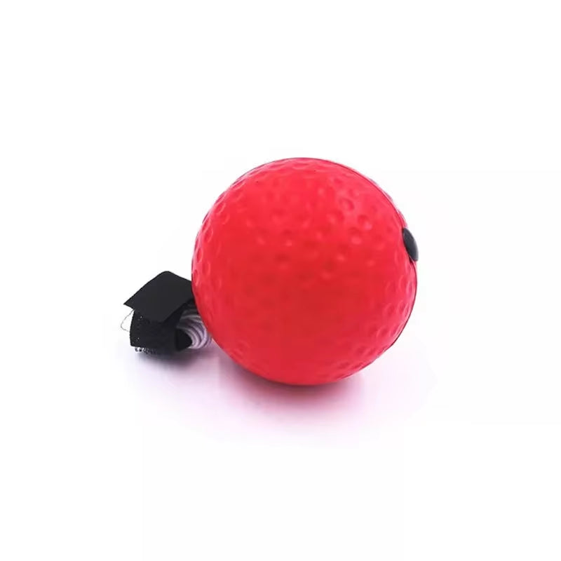 Boxing Speed Ball 